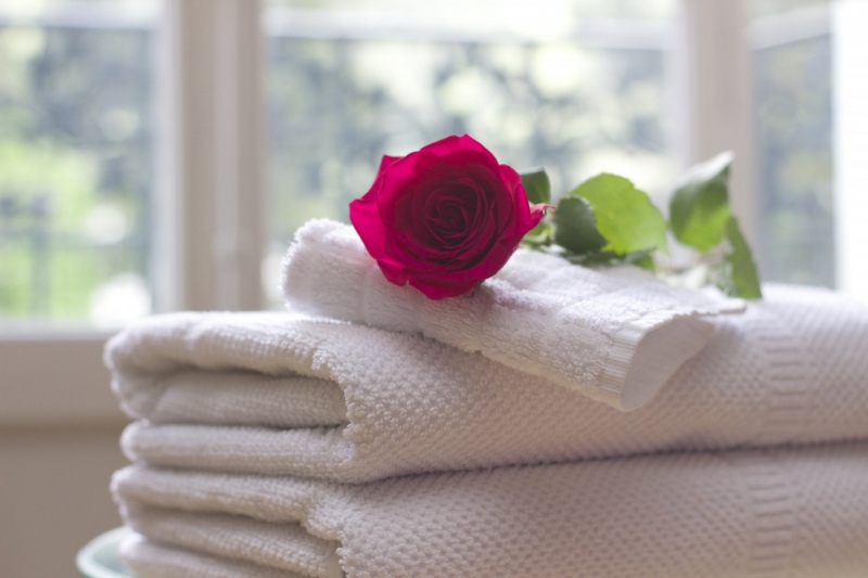 hotel-PIERREFEU DU VAR-min_towel_rose_clean_care_salon_spa_white_bath-731641